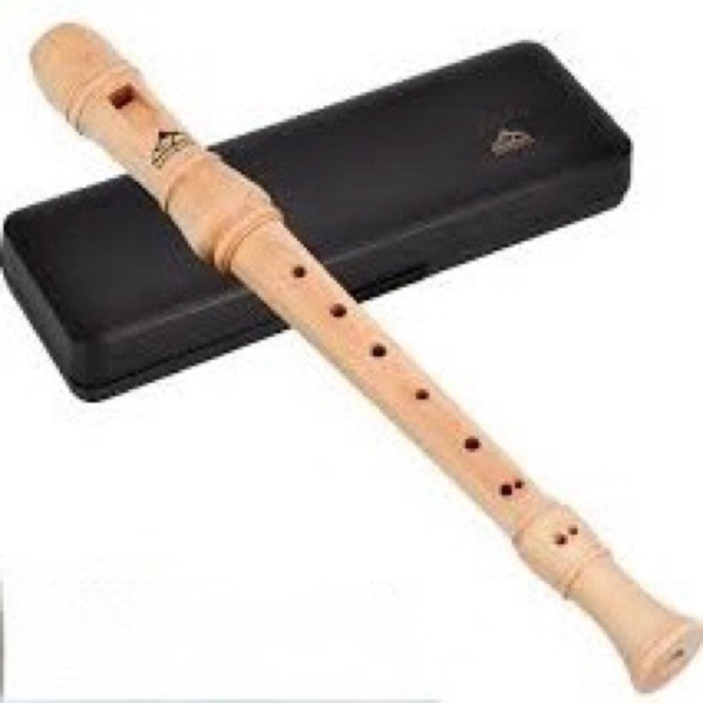 Eastrock Soprano Recorder Flute With Hard Shell Case
